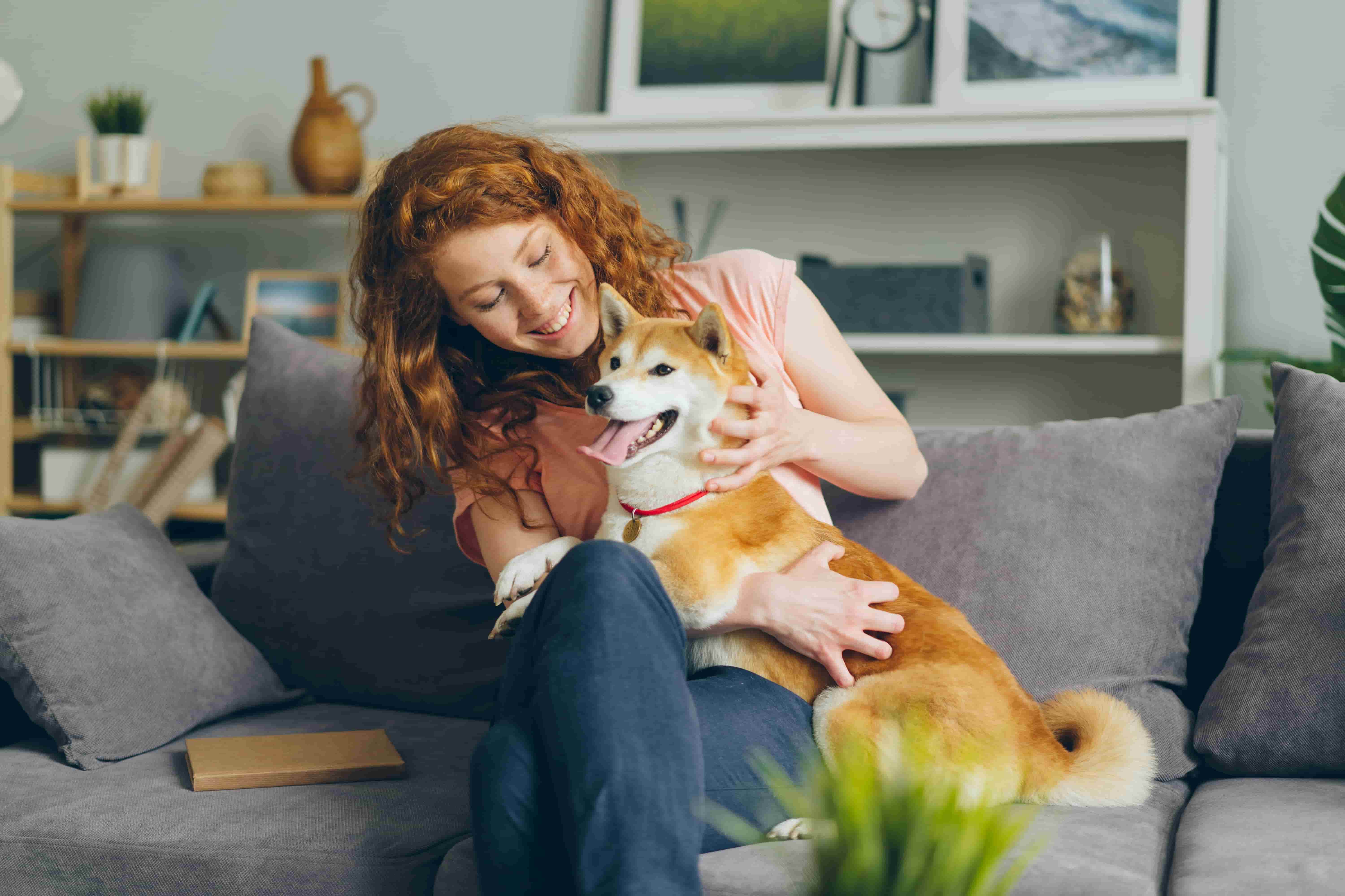 Comment trouver une garde d’animaux de confiance au Maroc ?